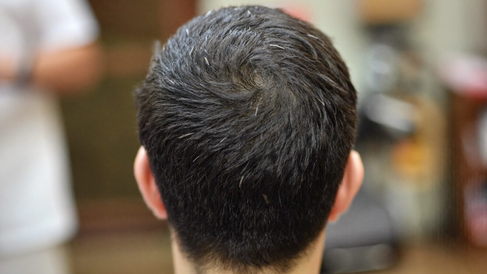 Back of a man's head with thick, even dark hair in a barbershop